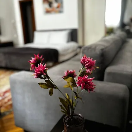 Mila Stari Grad Sarajevo