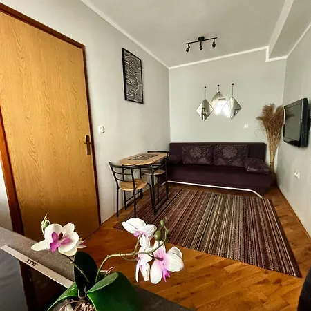 Mila Stari Grad Apartment Sarajevo