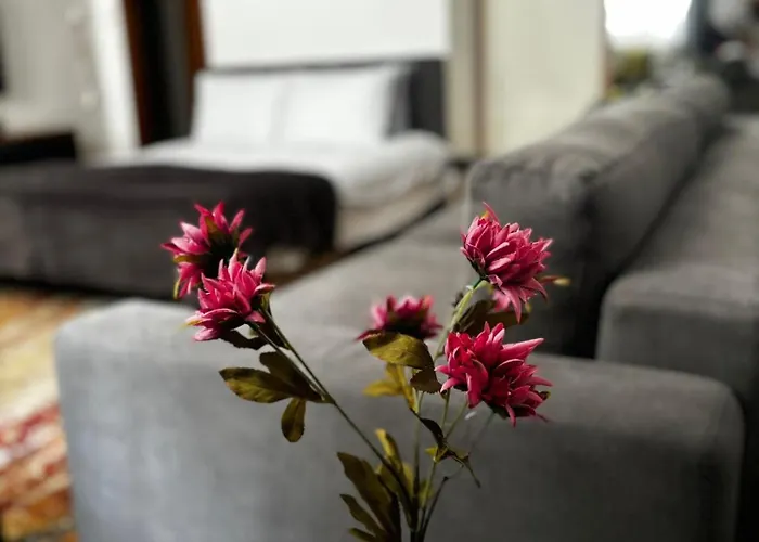 Mila Stari Grad Sarajevo